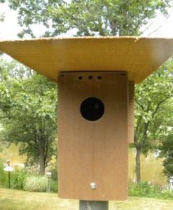 Trex Bluebird Box