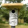 PVC 4" Bluebird Box