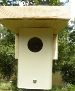 Square PVC Bluebird Box