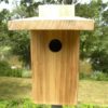 NABS Bluebird Box