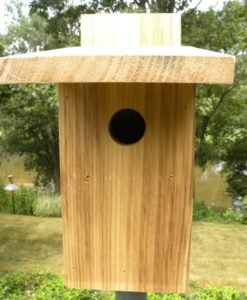 NABS Bluebird Box