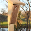 Peterson Bluebird Box