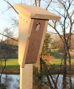 Peterson Bluebird Box