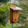 Sparrow resistant Bluebird House with Skylight