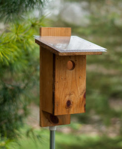 Sparrow resistant Bluebird House with Skylight