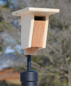 sparrow resistant bluebird house