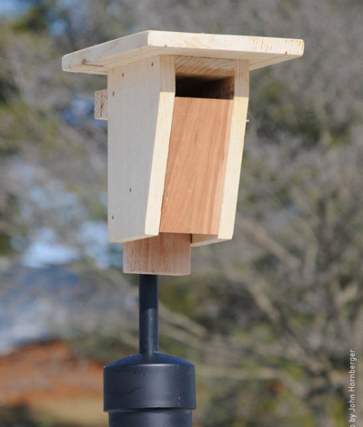 sparrow resistant bluebird house